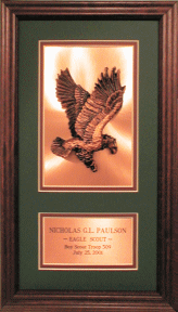 Elegant Framed 3-D Copper Eagle Plaque